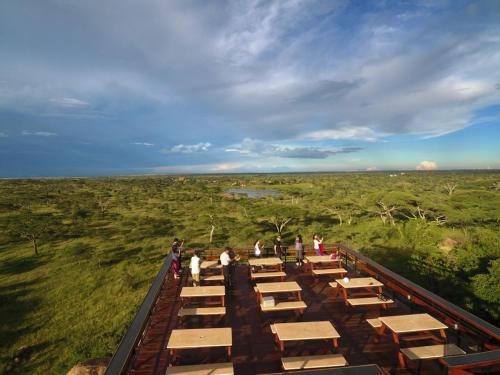 people standing on a viewing platform in a field at Seronera Wildlife Lodge in Serengeti National Park