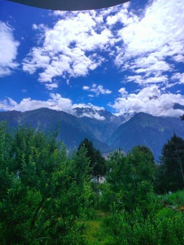 Fotografie z fotogalerie ubytování Hotel O Apple Resort v destinaci Kalpa