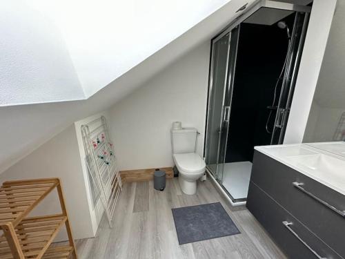 une salle de bain avec toilettes, douche et lavabo dans l'établissement Appart chez Aurore et Jérôme La Bresse Centre Garage Wifi, à La Bresse