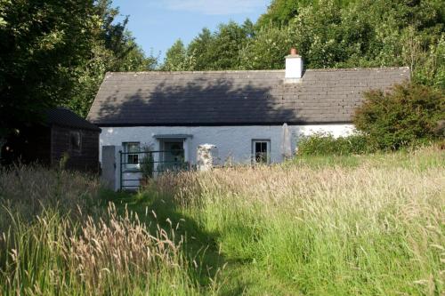 una vieja casa blanca en un campo de hierba alta en Clover Cottage en Sligo