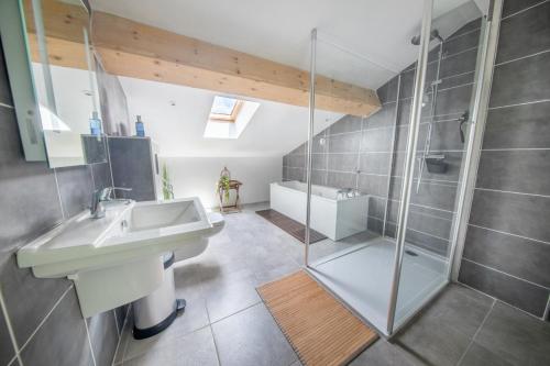 ein Bad mit einem Waschbecken und einer Dusche in der Unterkunft La Ferme du Grand Père Prosper in Liézey
