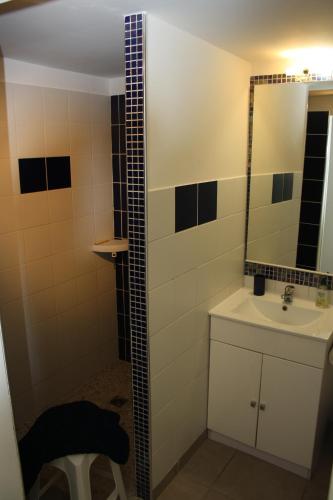 La salle de bains est pourvue d'un lavabo et d'un miroir. dans l'établissement Gite Des pins, à Vendémian