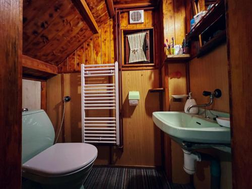 a bathroom with a toilet and a sink at Hunting lodge under the rock and the river Kretinka in Bystré