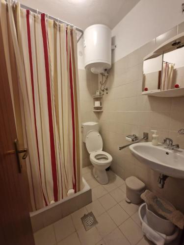 La salle de bains est pourvue d'un rideau de douche, de toilettes et d'un lavabo. dans l'établissement Old town - Studio1, à Tribunj