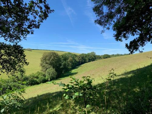 a field of green grass with trees in the foreground at Tregondale Manor Farm in Liskeard