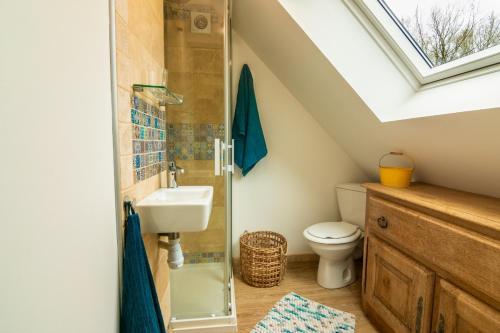 a bathroom with a sink and a toilet in a attic at Le Gite de l Etang du Petit Rocher in Théhillac