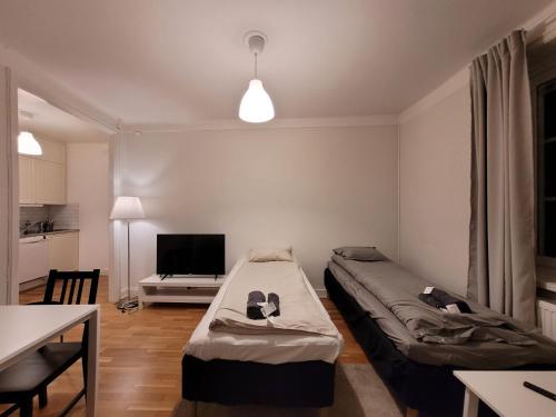 a living room with two beds and a tv at Home Inn KG49 in Stockholm