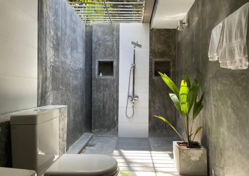 a bathroom with a shower and a toilet and a plant at Diklande Estate Bungalow in Negombo