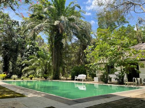 a swimming pool with a palm tree and a house at Diklande Estate Bungalow in Negombo