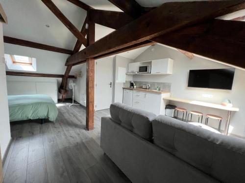 un salon avec un canapé et un lit dans l'établissement Studio entièrement rénové, à Reims