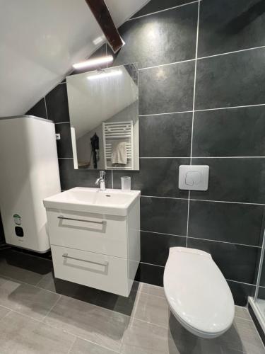 une salle de bain avec des toilettes blanches et un lavabo dans l'établissement Studio entièrement rénové, à Reims