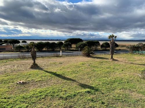 dos palmeras en un campo con vistas al océano en Joli studio cabine confort 28m2 a 200m de la plage, en Canet-en-Roussillon