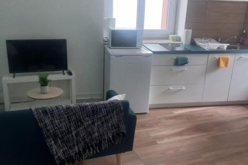 un salon avec un canapé et une télévision et une cuisine dans l'établissement LE MONISTROL, à Monistrol-sur-Loire