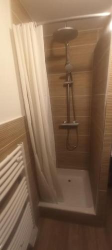 La salle de bains est pourvue d'une douche avec rideau de douche. dans l'établissement LE MONISTROL, à Monistrol-sur-Loire