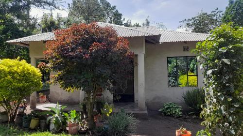 ArushaLand homestay – Photos 5