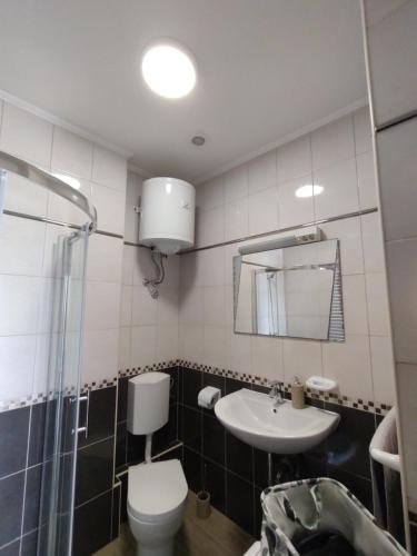 a bathroom with a toilet and a sink at Konavle Village Apartment in Čilipi