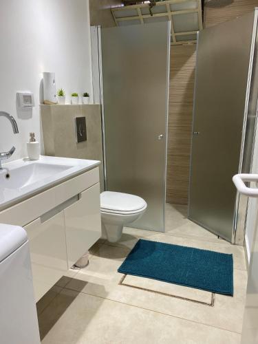 a bathroom with a toilet and a sink and a shower at Studio near the sea in Netanya