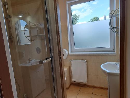 ein Bad mit einer Dusche, einem Waschbecken und einem Fenster in der Unterkunft Apartament Borowiacki in Tuchola