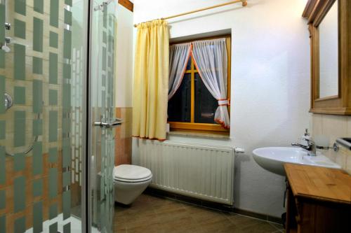 a bathroom with a toilet and a sink and a window at Resort Abertham - penzion Ellen in Abertamy