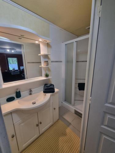 a bathroom with a sink and a mirror and a shower at Home nature in Nantes