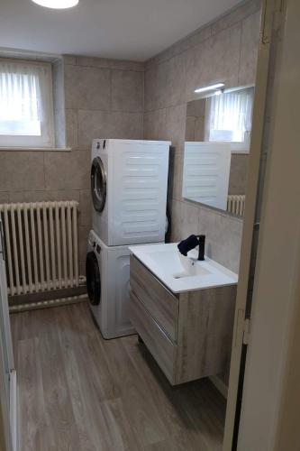 une salle de bain avec une machine à laver et un lavabo dans l'établissement Apt RDC Au coteau des xettes, à Gérardmer