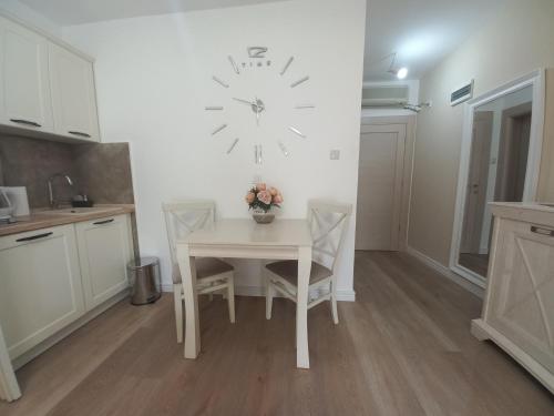 Kuchyň nebo kuchyňský kout v ubytování Egon Apartments