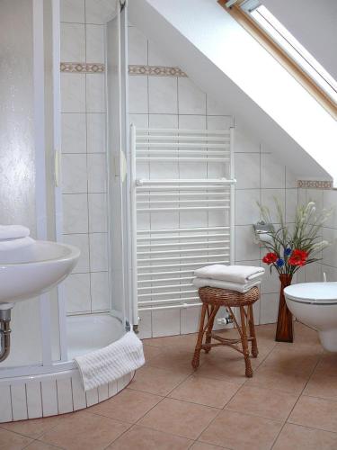 a bathroom with a shower and a sink and a toilet at Ferienpension Gabriele in Kurort Gohrisch