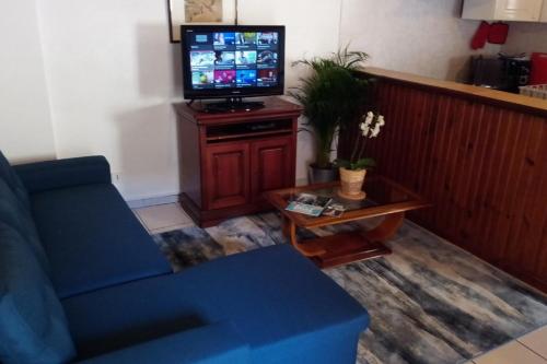 ein Wohnzimmer mit einem blauen Sofa und einem TV in der Unterkunft Appartement entier, La Chacuniere in Saint-Amant-Tallende