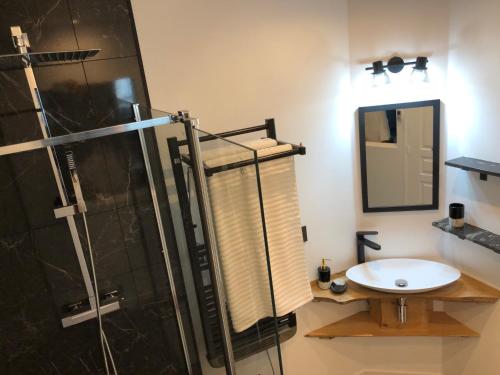 uma casa de banho com um chuveiro e um lavatório. em Appartement entier Le 1er Balnéothérapie Romantique em Bagnères-de-Bigorre