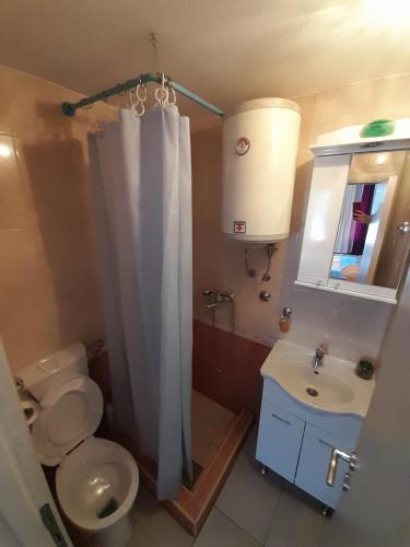a bathroom with a toilet and a shower and a sink at Apartments Kovačević in Petrovac na Moru