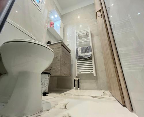 łazienka z toaletą i kabiną prysznicową w obiekcie Corfu Airport Sweet Studio w mieście Ágios Rókkos