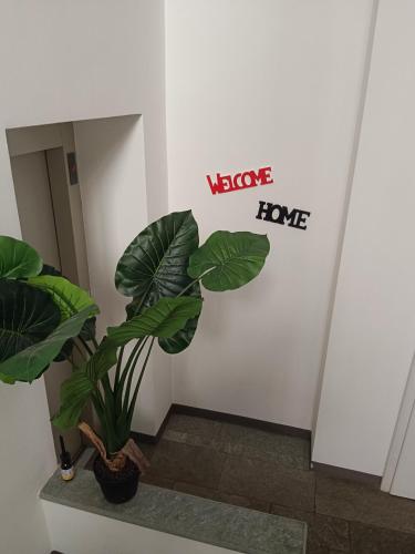 a plant on a wall with a sign that readsvice love at Liberty House Alps in Châtillon