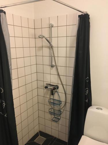 eine Dusche im Bad mit WC in der Unterkunft Lerbæk Fiskepark in Frederikshavn