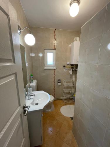 メゼーケヴェシュトにあるHello Apartmanのバスルーム(洗面台、トイレ付)