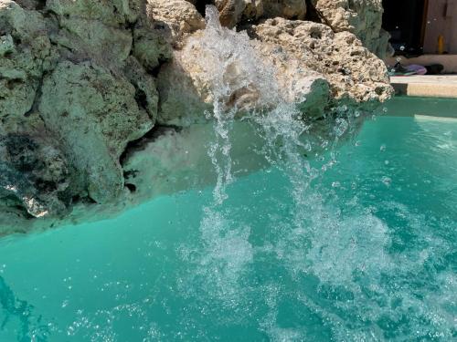 Fotografie z fotogalerie ubytování Domaine des Tuilières avec piscine v destinaci Vallauris