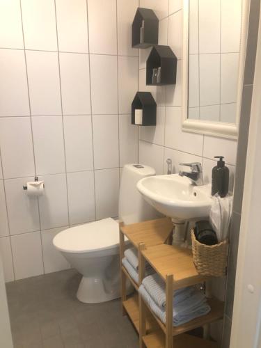 a bathroom with a toilet and a sink at Haus Anna in Rauma
