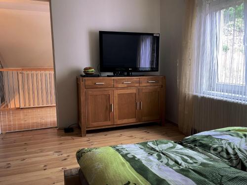 TV a/nebo společenská místnost v ubytování Apartmán Nejdek