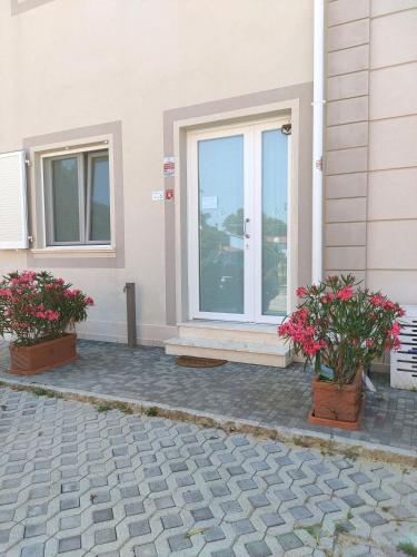 a house with two potted plants in front of a door at MonoPat in Marina di Pisa