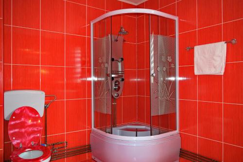 a red tiled bathroom with a shower and a toilet at Cabana Denis&Lucas in Ocna Şugatag