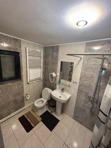 a bathroom with a toilet and a shower and a sink at Pensiunea Poiana Dornei in Vatra Dornei
