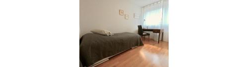 Comfortable, sunny, quiet, good location!