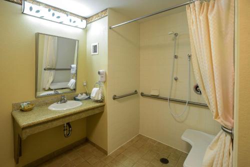 a bathroom with a sink and a shower at Winter Park Mountain Lodge in Winter Park