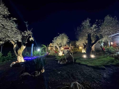 a park at night with a playground and trees at Casa Bea in Palmadula