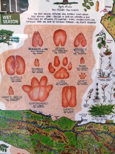 a map of the united states of america at Seronera Wildlife Lodge in Serengeti National Park