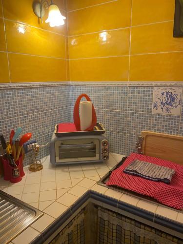 kuchnia z blatem z tosterem w obiekcie A casa di Oba, a pochi minuti dal mare (IUN P9041) w Puli