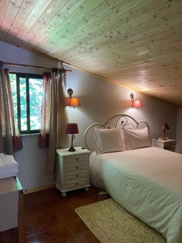 ブラガにあるQuinta do Tanquinhoの大きなベッドと窓のある寝室