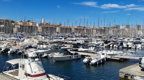 a bunch of boats are docked in a harbor at Le cosy in Marseille