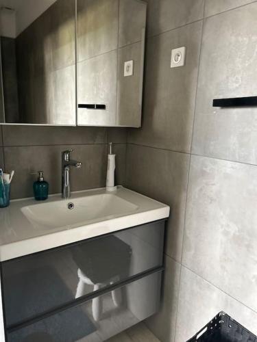 une salle de bain avec un lavabo blanc et un miroir dans l'établissement La Maison de Famille, à Arles