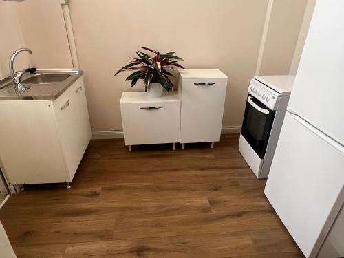 a kitchen with a sink and a plant on a counter at ReggioDuomo in Reggio Calabria