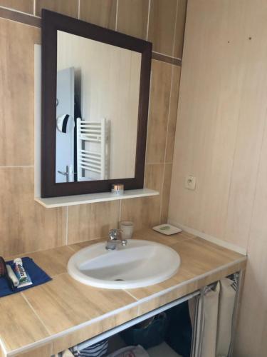 uma casa de banho com um lavatório e um espelho em Les Alizés em Le Teich